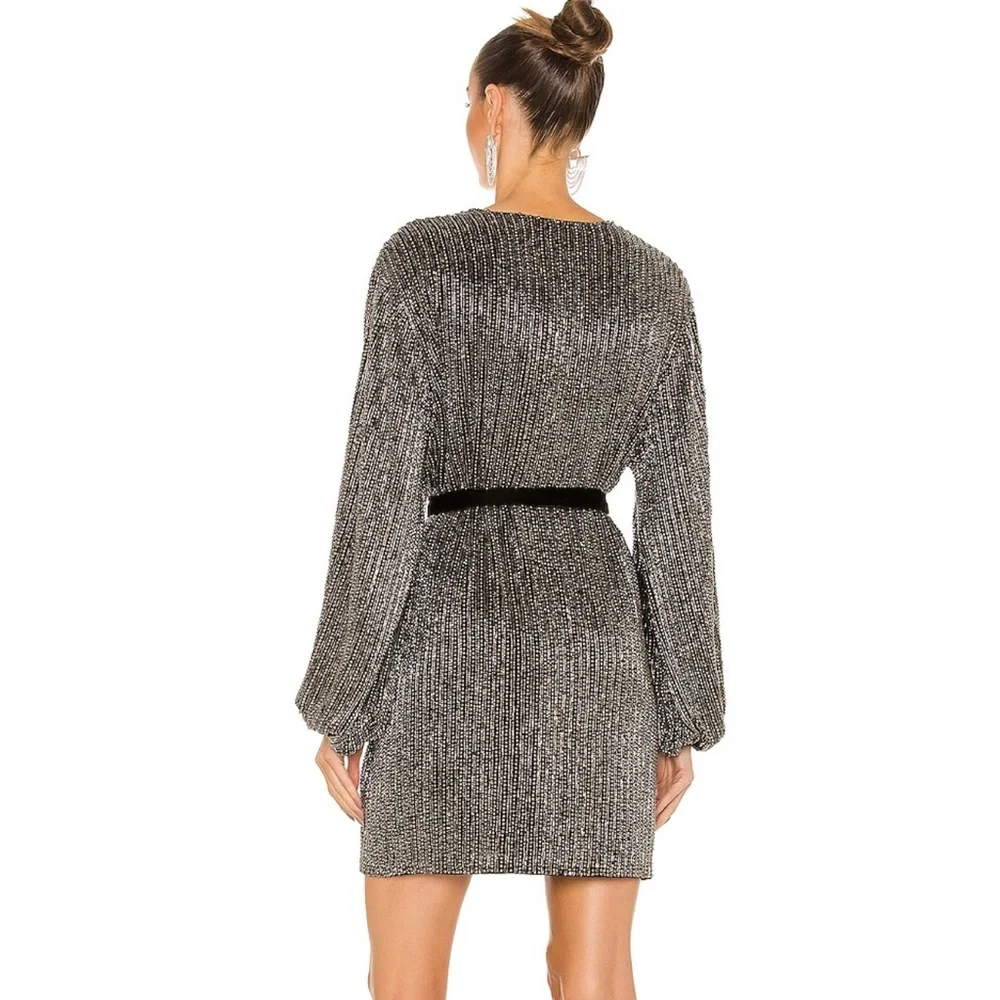 RETROFETE Gabrielle Velvet-trimmed Beaded Chiffon Mini Wrap Dress in Silver - Picture 3 of 9